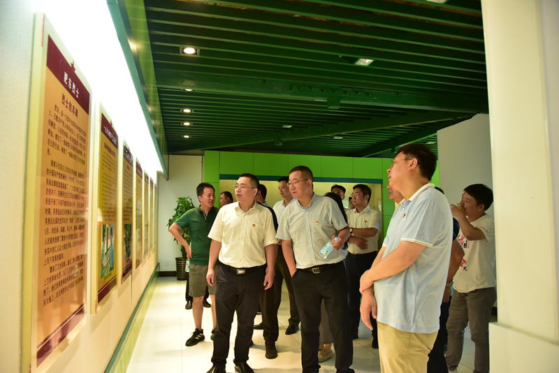 市政分公司黨總支、合肥市重點局直屬黨委第二黨支部聯(lián)合開展主題黨日活動3